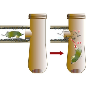 ミツギロン モグラ被害 モグ落下ー 116×100×305 FC813JP-4487575-イメージ2
