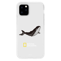 National Geographic iPhone 11 Pro用ハードケース INTO THE WILD Jelly Hard Case ホエール NG17126I58R