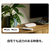 Google Google TV Streamer (4K) Porcelain GA05662-JP-イメージ3