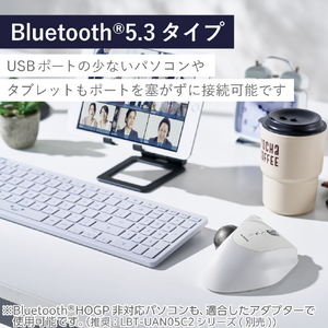 エレコム Bluetooth5．0トラックボール IST 5ボタン 人工ルビーモデル ホワイト M-IT10BRWH-イメージ8