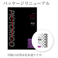 PICTORICO A3ノビ GEKKO パール・ラベル 20枚入り GKN-A3+/20