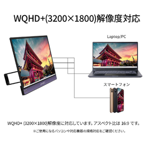 JAPANNEXT 13．3型液晶ディスプレイ ブラック JN-MD-IPS133WQHDP-イメージ5