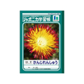 ショウワノート ジャポニカ学習帳 かんじれんしゅう 84字 84字1冊 F820579-JL-49