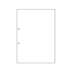 ヒサゴ マルチプリンタ帳票複写 A4 白紙2穴 100枚 FC046NT-FSCF2001-イメージ2