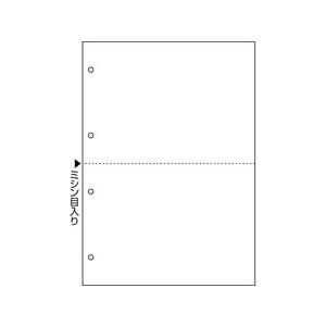 ヒサゴ マルチプリンタ帳票複写 A4 白紙2面4穴 100 FC049NT-FSCF2003-イメージ2
