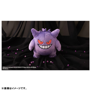 タカラトミーアーツ ポケットモンスター キミにきめた!ポケモンゲットぬいぐるみ ゲンガー ﾎﾟｹﾓﾝｹﾞﾂﾄﾇｲｸﾞﾙﾐｹﾞﾝｶﾞ--イメージ4