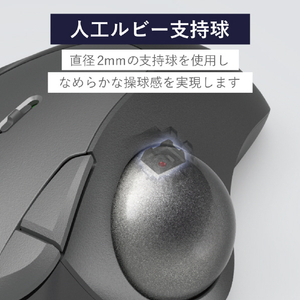 エレコム トラックボール用交換パーツ(人工ルビー) グレー M-RS10-イメージ2