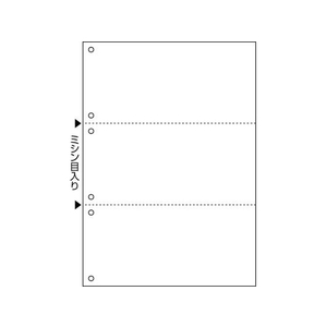 ヒサゴ マルチプリンタ帳票複写 A4 白紙3面6穴 100 FC052NT-FSCF2005-イメージ2