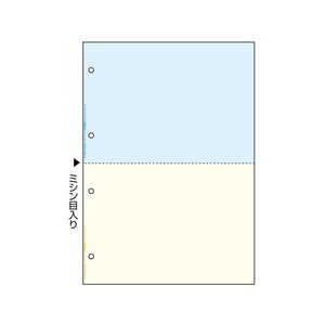 ヒサゴ マルチプリンタ帳票複写 A4 カラー2面4穴 100 FC054NT-FSCF2011-イメージ2