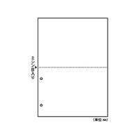 ヒサゴ マルチプリンタ帳票 A4 白紙 2面 2穴 100枚 FC91547-FSC2084