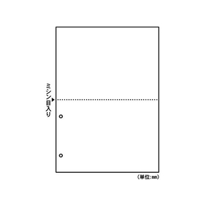 ヒサゴ マルチプリンタ帳票 A4 白紙 2面 2穴 100枚 FC91547-FSC2084-イメージ1