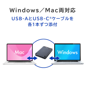 I・Oデータ ハードウェア自動暗号化&耐衝撃ポータブルHDD(1TB) BizDAS HDPD-SUTC1-イメージ9