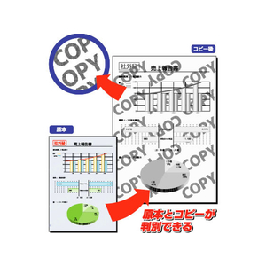 ヒサゴ コピー偽造予防用紙 浮き文字タイプ A4 110枚 FC91572-BP2060-イメージ3