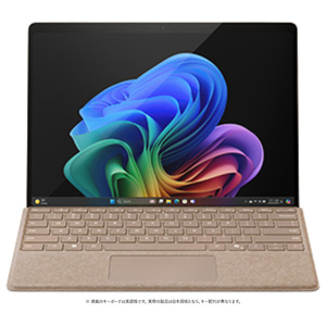 マイクロソフト Surface Pro(第11世代)(Snapdragon X Elite/16GB/1TB/OLED) デューン ZIB-00045-イメージ6