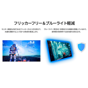 JAPANNEXT タッチパネル対応13．3型液晶ディスプレイ ブラック JN-MD-I133FHDR-T-イメージ17