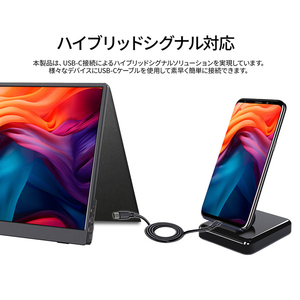 JAPANNEXT タッチパネル対応13．3型液晶ディスプレイ ブラック JN-MD-I133FHDR-T-イメージ8