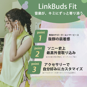 SONY ワイヤレスノイズキャンセリングステレオヘッドセット LinkBuds Fit グリーン WF-LS910N G-イメージ2