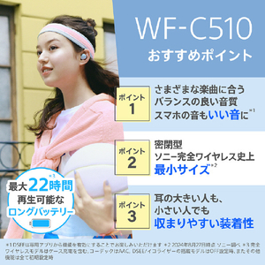 SONY ワイヤレスステレオヘッドセット ブルー WF-C510 L-イメージ4