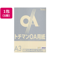 SAKAEテクニカルペーパー 極厚口カラーPPC A3 アイボリー 50枚×5冊 F116158-LPP-A3-I