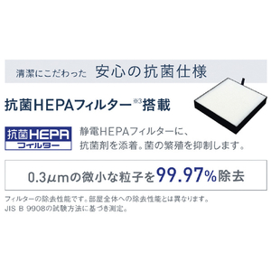 ダイキン 交換用抗菌HEPAフィルター BAFP105A41-イメージ2