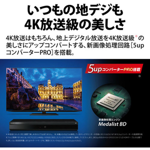 シャープ 1TB HDD/4Kチューナー内蔵ブルーレイレコーダー AQUOS ブルーレイ 4BC10EW3-イメージ4