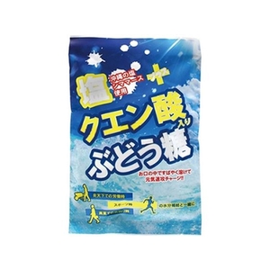 大丸本舗 塩クエン酸入り ぶどう糖 2g×20粒入 FCM5182-イメージ1