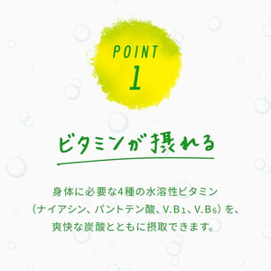 伊藤園 ビタミンストロング 強炭酸水 500ml×48本 FC968MV-イメージ3