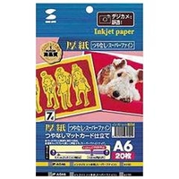 サンワサプライ インクジェット厚紙 JP-AGA6