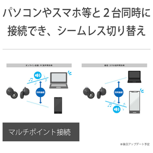 SONY 完全ワイヤレスイヤフォン LinkBuds グレー WF-L900H-イメージ15