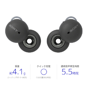 SONY 完全ワイヤレスイヤフォン LinkBuds グレー WF-L900H-イメージ2