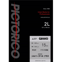 PICTORICO シルバーラベル プラス2L/15枚入 GEKKO GKSP-2L/15