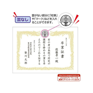 タカ印 OA賞状用紙 雲なし A4判 縦書用 100枚 FC453RL-10-1460-イメージ5