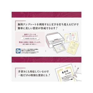 タカ印 OA賞状用紙 雲なし B4判 横書用 100枚 FC454RL-10-1471-イメージ8