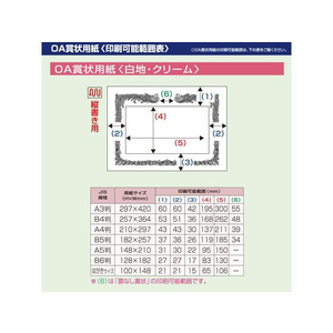 タカ印 OA賞状用紙 雲なし クリーム B4判 横 100枚 FC455RL-10-1478-イメージ7