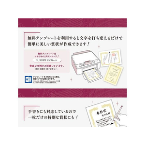 タカ印 OA賞状用紙 雲なし A3判 横書用 100枚 FC456RL-10-1481-イメージ8