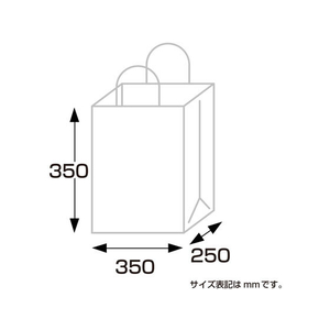 タカ印 手提げ パールB 小 10枚 FC43104-35-5720-イメージ6