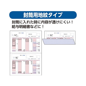 ヒサゴ マルチプリンタ帳票 A4 裏地紋 2面 100枚 F033246-BP2009-イメージ4