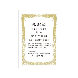 タカ印 賞状用紙 上質紙 みの判 横書用 100枚 FC464RL-10-5031-イメージ5