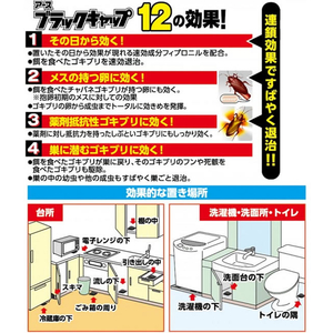 アース製薬 ブラックキャップ スキマ用 16個 FCA7788-イメージ4