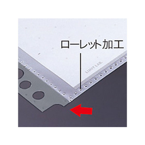 リヒトラブ ルポ・リーンフォース・クリヤーポケット A5タテ 20穴 10枚 グレー F804998-N2010-イメージ3