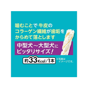 ペティオ プラクト歯みがきデンタルガム中型～大型犬ハード12本入 FCC9269-イメージ5