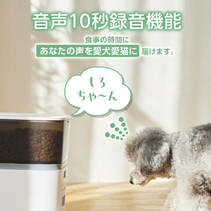 エレコム ペット用自動給餌器(1匹用) ブラック PET-AF01BK-イメージ4