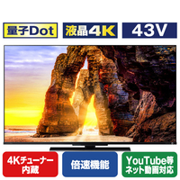 REGZA 43V型4Kチューナー内蔵4K対応液晶テレビ Z670Lシリーズ 43Z670L