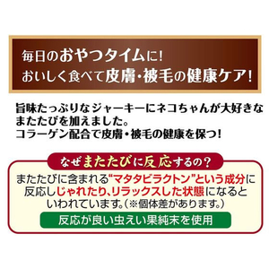 ペティオ またたびプラス またたびジャーキー かつお味 25g FCC9280-イメージ4