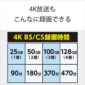 SONY 録画用100GB(3層) 2倍速対応 BD-RE XLブルーレイディスク 25枚入り 25BNE3VEPP2-イメージ9