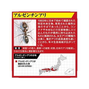 フマキラー アリ用殺虫剤 アルゼンチンアリ殺虫&侵入防止粉剤2kg FC133MP-4198034-イメージ4