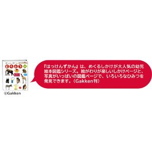 学研ステイフル はっけんパズル どうぶつ ﾊﾂｹﾝﾊﾟｽﾞﾙﾄﾞｳﾌﾞﾂ-イメージ5