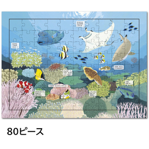 学研ステイフル はっけんパズル うみ ﾊﾂｹﾝﾊﾟｽﾞﾙｳﾐ-イメージ3