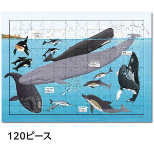 学研ステイフル はっけんパズル うみ ﾊﾂｹﾝﾊﾟｽﾞﾙｳﾐ-イメージ4