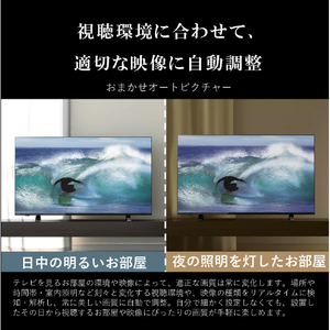 REGZA 65V型4Kチューナー内蔵4K対応液晶テレビ ECモデル E350Mシリーズ 65E350M-イメージ20